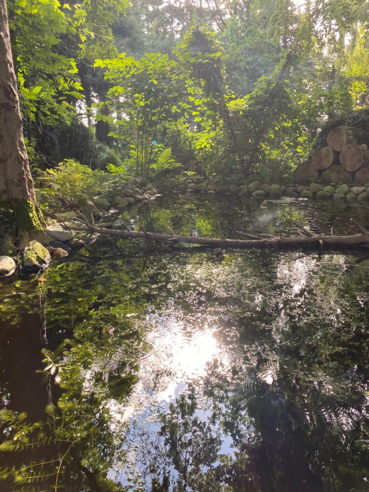Ferienwohnung Auf Einem Resthof Zentral Gelegen Mit Viel Natur Und Tieren Rendswuhren Kültér fotó