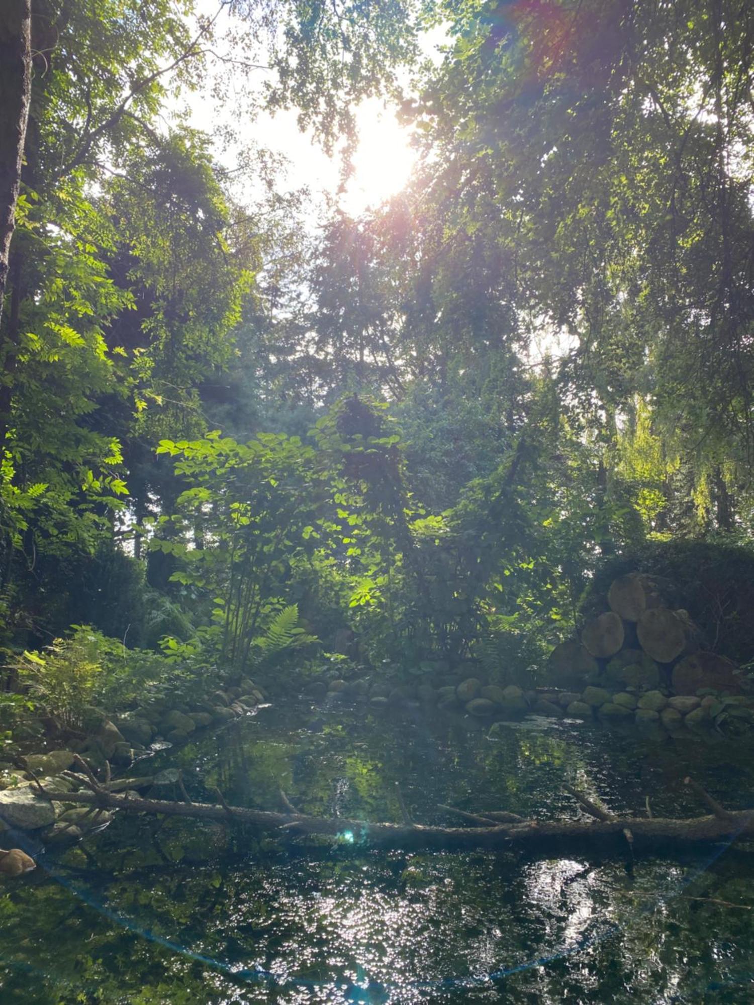 Ferienwohnung Auf Einem Resthof Zentral Gelegen Mit Viel Natur Und Tieren Rendswuhren Kültér fotó